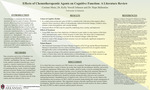 The Effects of Chemotherapeutic Agents on Cognitive Function: A Literature Review