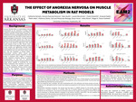 The Effect of Anorexia Nervosa on Muscle Metabolism in Rat Models. by Catherine Schultz, Megan Rosa-Caldwell, Malih Jafari, Katie Wood, Claire Greenhill, Sam Austin, Lauren Brockman, Patience Okoto, Oscar Vicen, and Amanat Habib