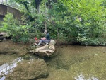 Don’t miss our latest research from our current issue, featuring: Stream Restoration Effectiveness in Mullins Creek in Fayetteville, Arkansas by Amadeo Scott and Shannon L. Speir