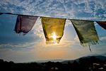 Prayer Flags by Elise Clote