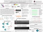 Developing a CPP-conjugated Cas9 Library for Efficient Non-Viral Delivery to the DMD Gene by Amie Donathan