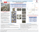 Analysis of Potential Alkali Reactivity of Aggregates in Arkansas