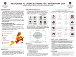 Resilient Communities: Affordable Solutions to Extreme Heat