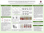 Assessing Mesenchymal Stem Cell Phenotype after Heparan Sulfate Supplementation