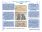 A Preliminary Study on a Variant Recension of De excidio Troiae by Kailee Rowe
