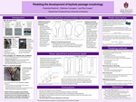 Modeling the Development of Keyhole Passage Morphology