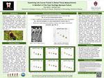 Examining Life Course Trends in Dental Tissues Measurements in Members of the Cayo Santiago Macaque Colony