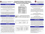 Rural Women and Intimate Partner Violence: A Geographical Analysis of Victim Service Providers in the Southern United States