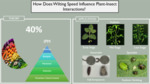 Effects of Fast and Slow Wilting Soybean Genotypes on Two Herbivores That Differ in Their Feeding Habits (2023)