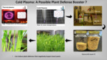 Effects of Cold Plasma Treatments on Insect Herbivores in Field Crops (2023) by Deepak Dilip