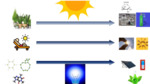 Development of Organic Chemical Compounds Reactivated Under Visible Light (2023)