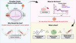 Tick-Tock Therapy: Resetting the Muscle Clock Against Cancer Cachexia (2023) by Francielly Morena