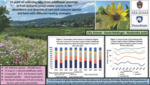 Ten Years of Collecting Bees from Wildflower Plantings in Fruit Orchards Reveal Stable Trends in the Abundance and Diversity of Rare and Common Species and Bees with Different Nesting Strategies (2023)