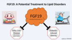 FGF19: A Potential Treatment to Lipid Disorders (2023) by Gaetane Ternier