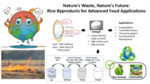 Nature's Waste, Nature's Future: Rice Byproducts for Advanced Food Applications (2024) by Sumanjot Kaur