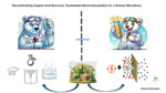 Revolutionizing Organic Acid Recovery: Sustainable Electrodeionization for a Greener Biorefinery (2024) by Olabode Akindolani