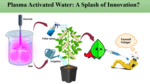 Exploring the Potential of Cold Plasma as a Pest Management Strategy in Field Crops (2024) by Deepak Dilip