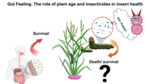 Gut Feeling: The Role of Plant Age and Insecticides in Insect Health (2024) by Devi Balakrishnan