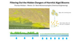 Filtering Out the Dangers of Harmful Algal Blooms (2024) by Thomas McKean