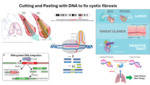 Cutting and Pasting with DNA to Fix Cystic Fibrosis (2024) by Adila Khalil