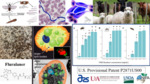 Yeast Microencapsulated Fluralaner for Vector Control (2024) by Blythe Lawson