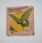 Children's Butterfly Book